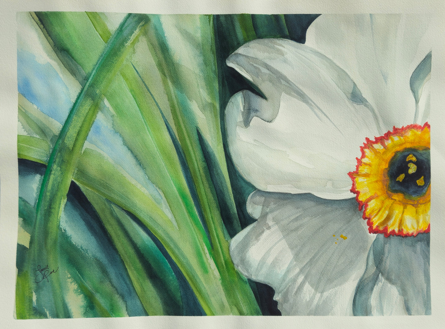 A Daffodil 18x24 Watercolor Painting