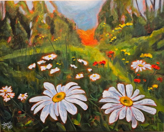 Daisies in the Ditch