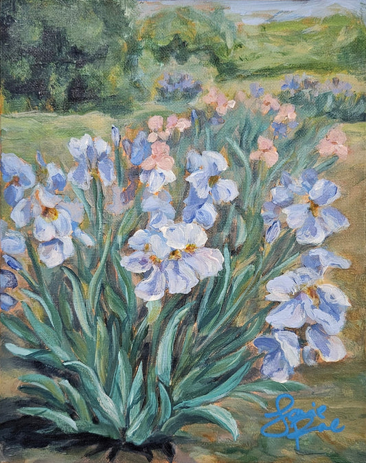 Trail of Iris 8x10 Acrylic Painting