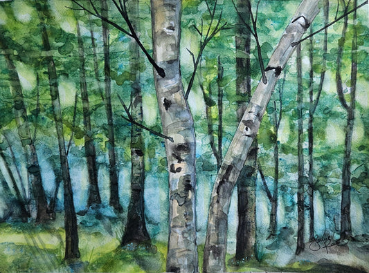 Birch-walk to the Falls 8x10 Watercolor Painting