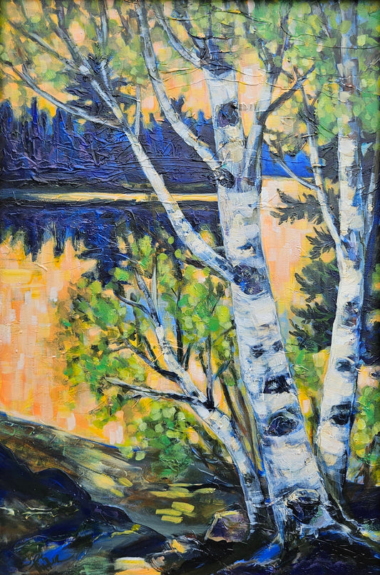Boundary Waters Birch 24x36 Acrylic Painting