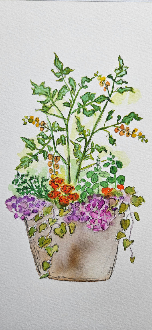 Cabin Containers - Food & Fun