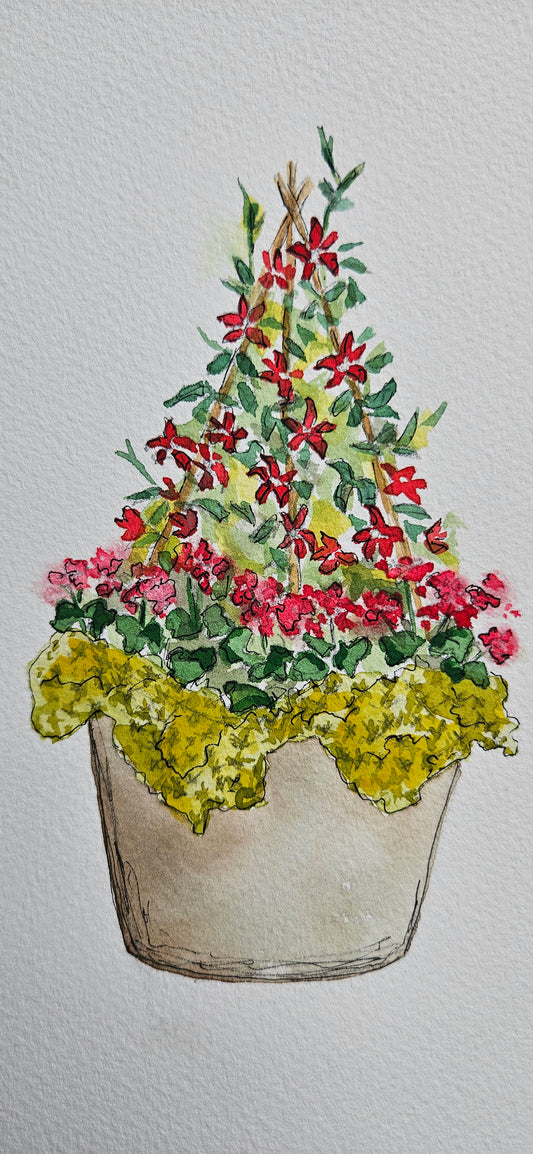 Cabin Containers - Drought Tolerant